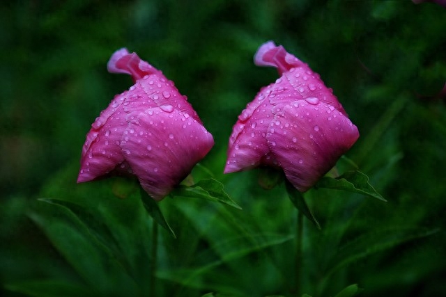 相思漫长，你好难忘(图5)