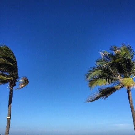 「收集」致未来自己的经典语录(图8)