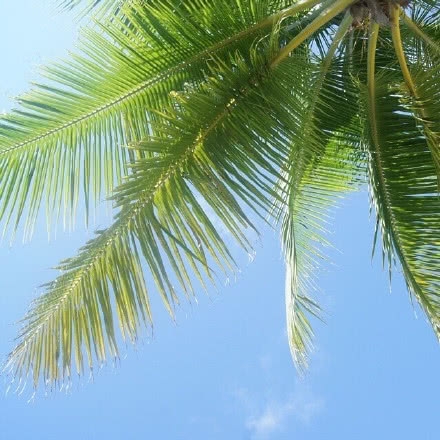 「收集」致未来自己的经典语录(图9)