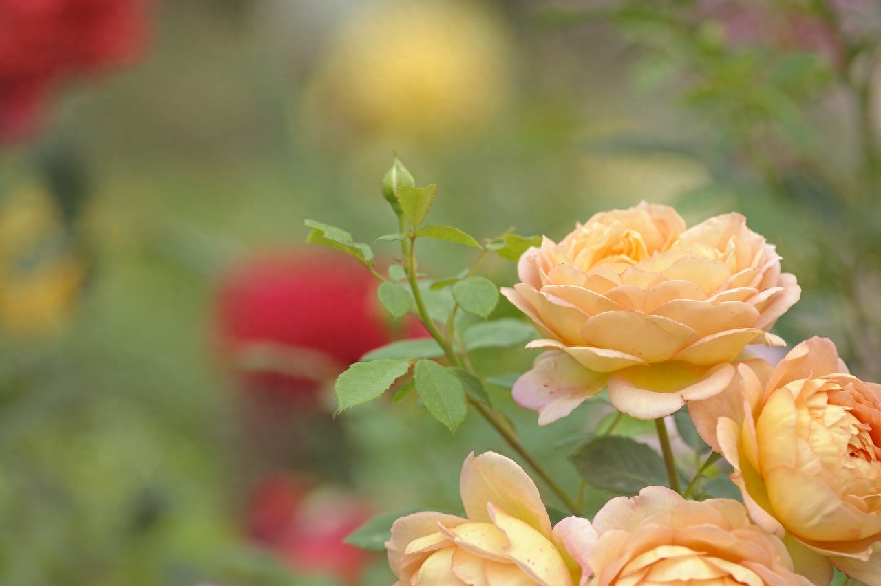 你是我命中注定的那个人(图6)