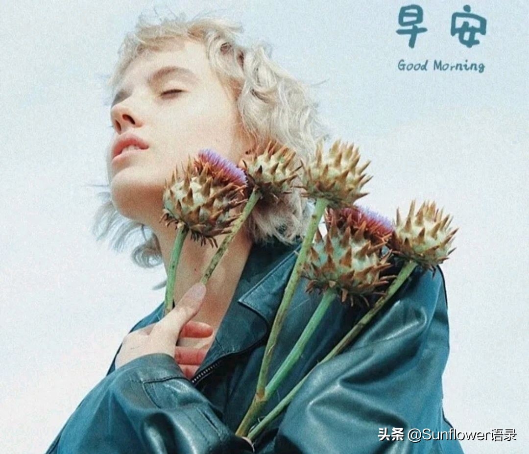 早安正能量人生励志箴言，心随晨光，勇敢洒脱，自由飞翔(图2)