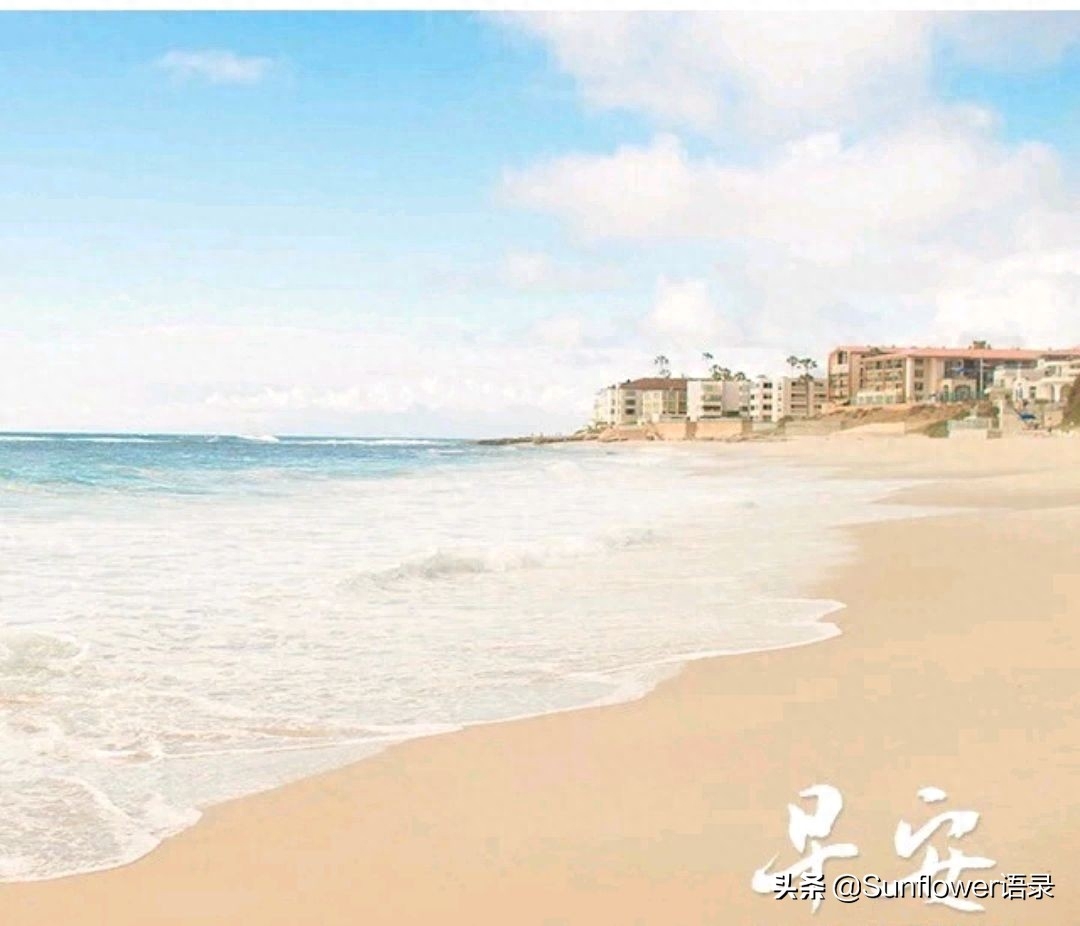 早安正能量人生励志箴言，心随晨光，勇敢洒脱，自由飞翔(图3)