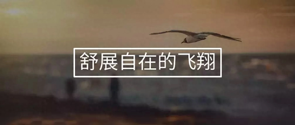 梦见自己在‘‘飞翔”背后的心理暗示｜梦境分析第七期(图3)