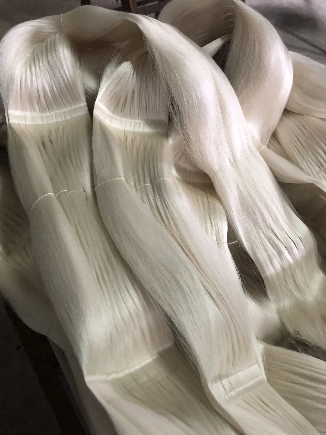 2020-4《十月》·散文∣苏沧桑：春蚕记(图12)