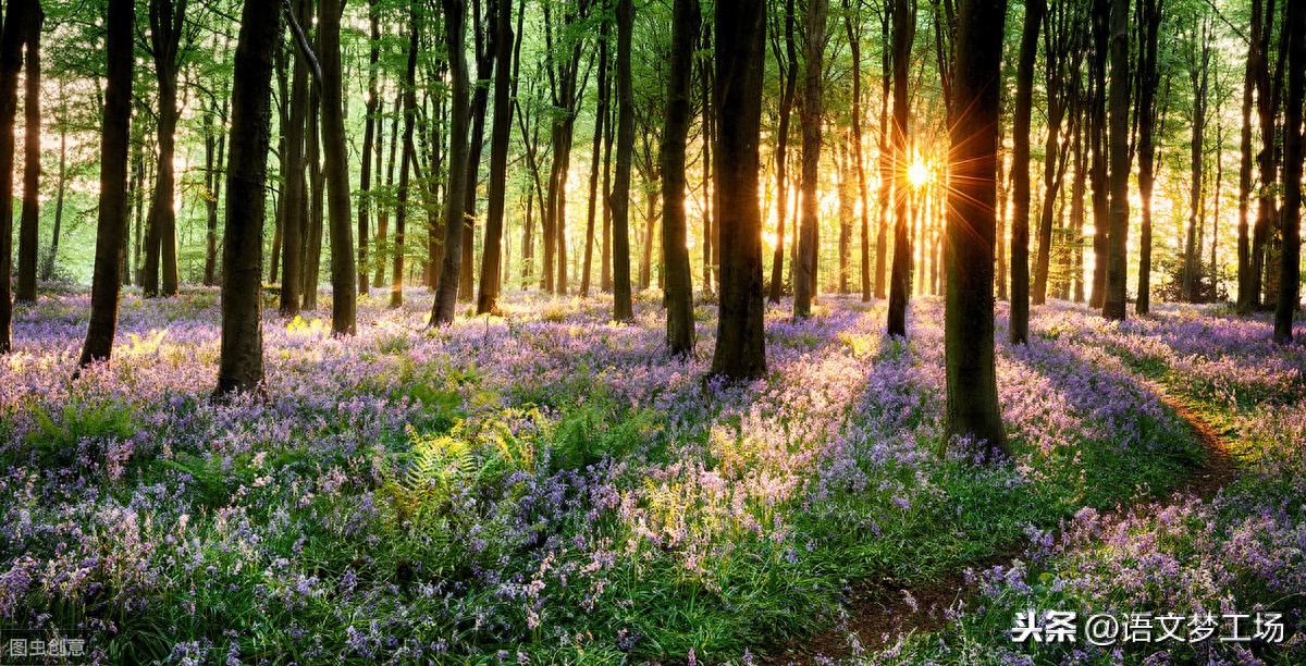 关于“清晨”的唯美句子78条，很好的作文素材(图1)