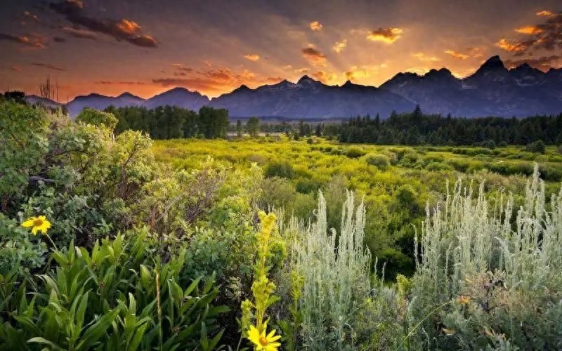 早上阳光明媚的句子，晨光中的诗意时刻(图2)