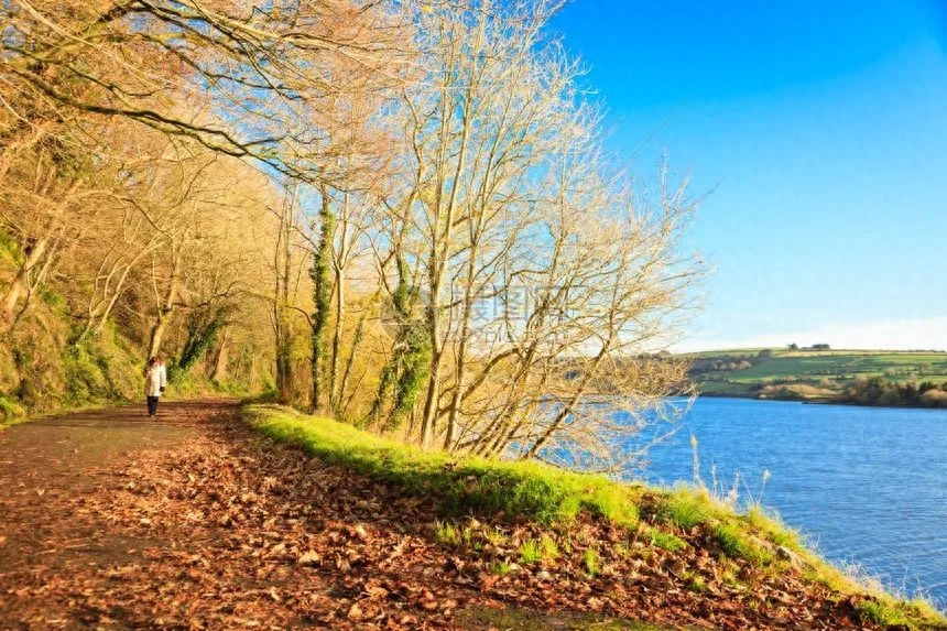 早上阳光明媚的句子，晨光中的诗意时刻(图5)