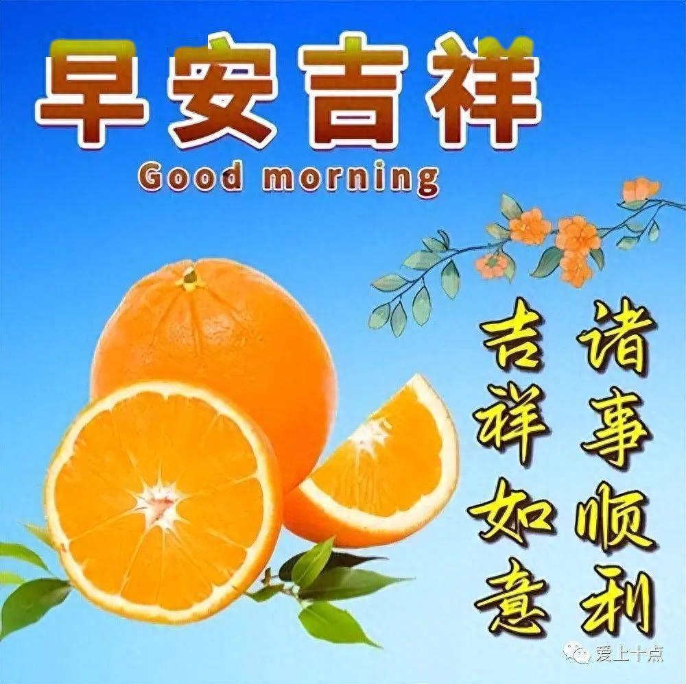 最新版最漂亮的早上好短语句子，时常有牵挂，天天有问候(图3)