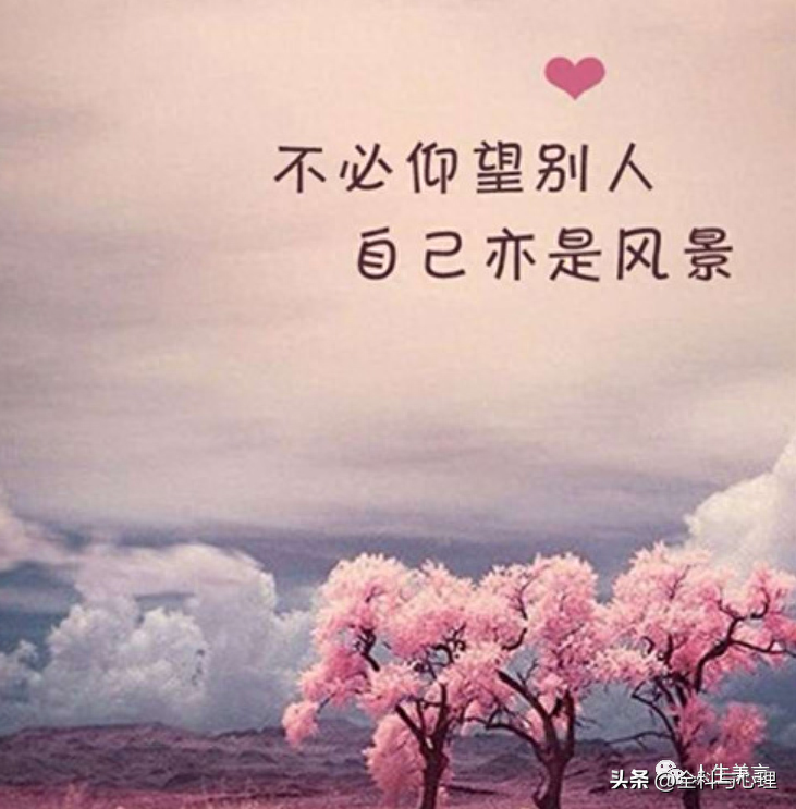 早安励志正能量句子，加油打气的励志的话(图6)