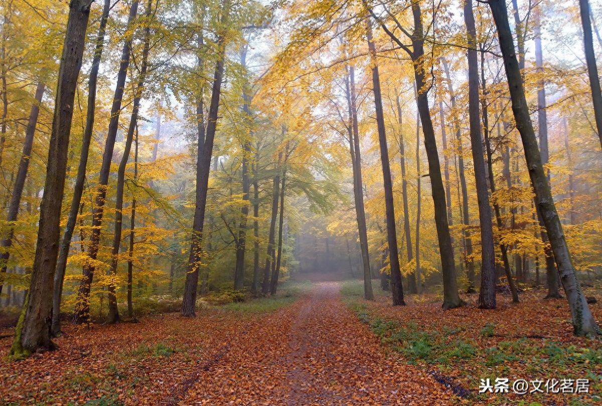 中国古代有关法度的8则名言警句！官清民自安，法正天心顺(图2)