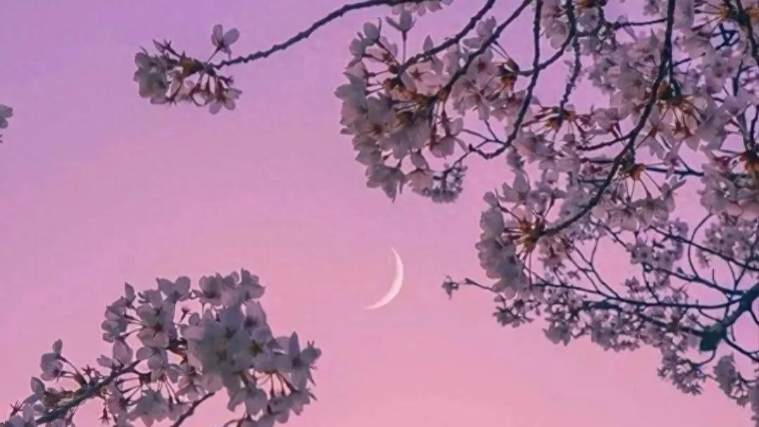 分手后，挽回最感动的话(图2)