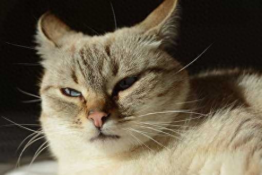 挽回感情的句子，十全十美，文艺情深(图1)