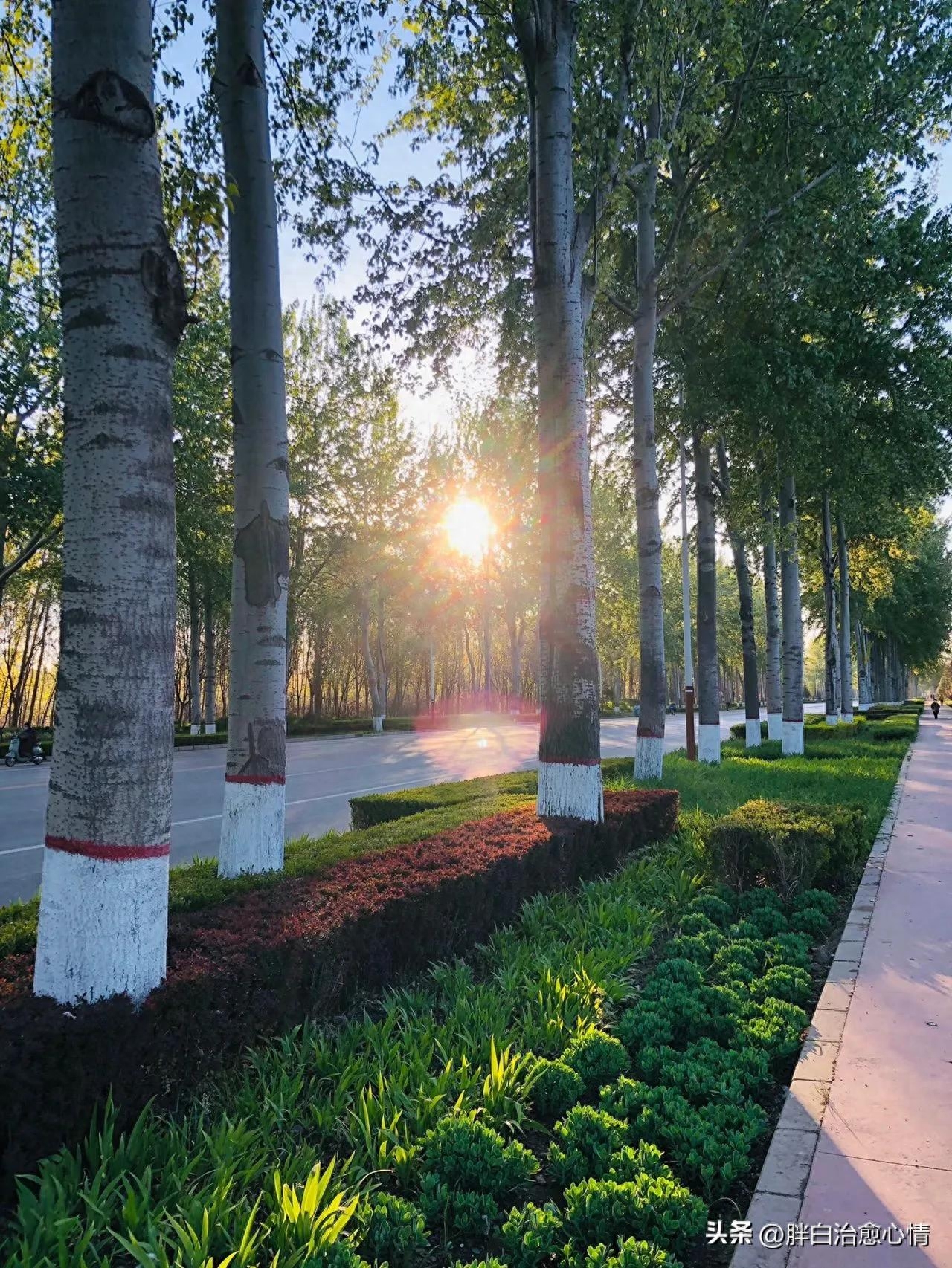 描写美丽风景的句子与段落。(图5)