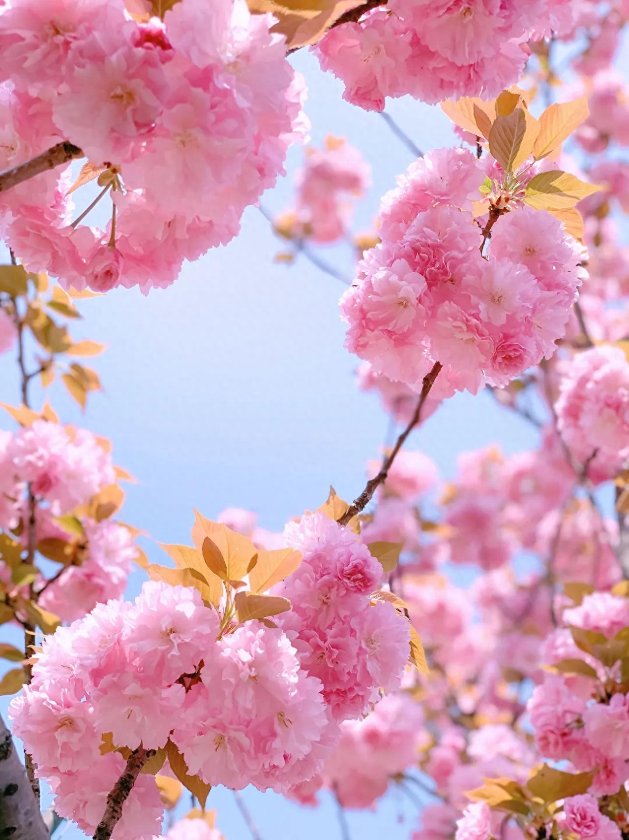 朋友圈文案｜温柔治愈的宝藏风景句子(图1)