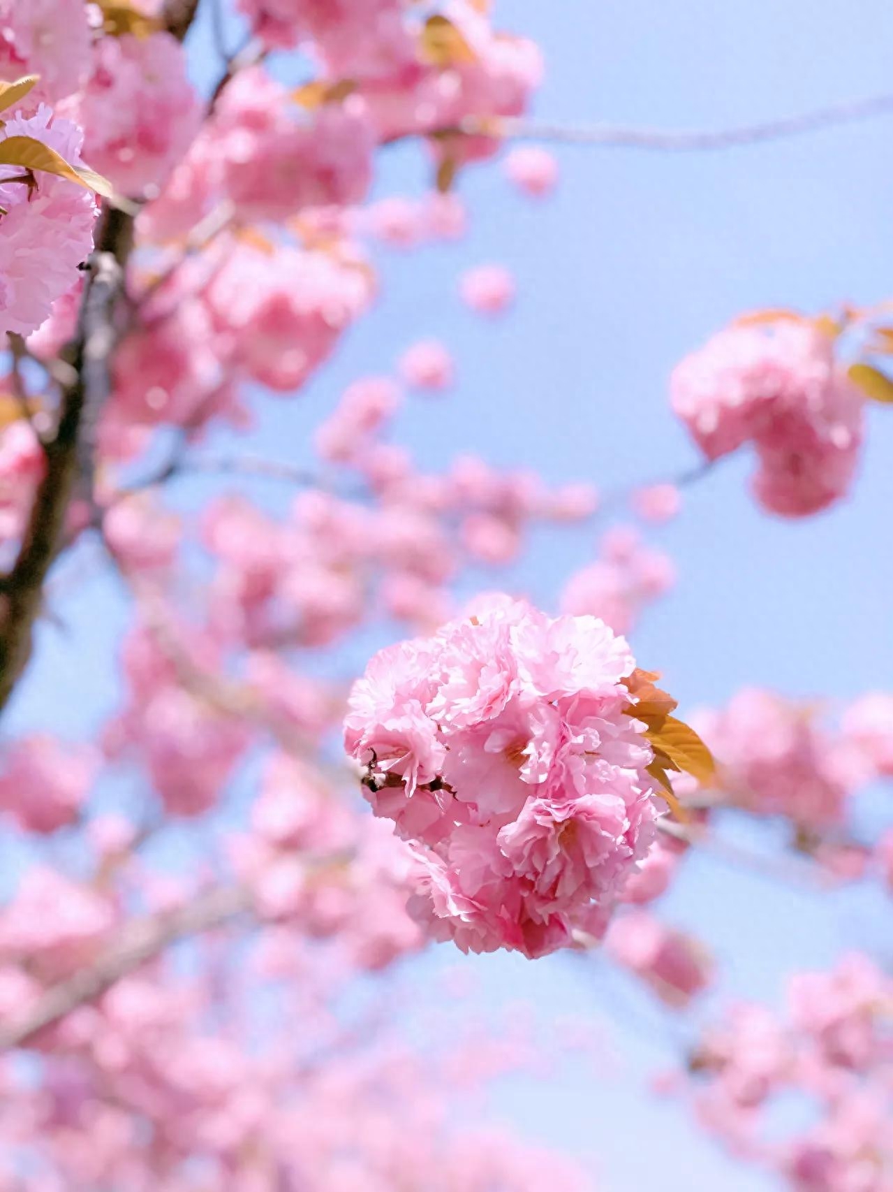 朋友圈文案｜温柔治愈的宝藏风景句子(图2)