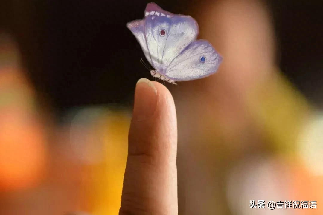 人心啊人心，难看清 (大实话)(图2)