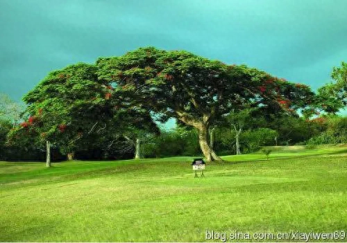 人不可怕，怕的是人心，猜不透，摸不着(图2)