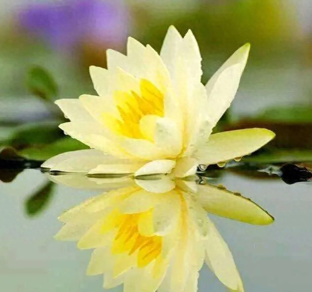 人不可怕，怕的是人心，猜不透，摸不着(图3)