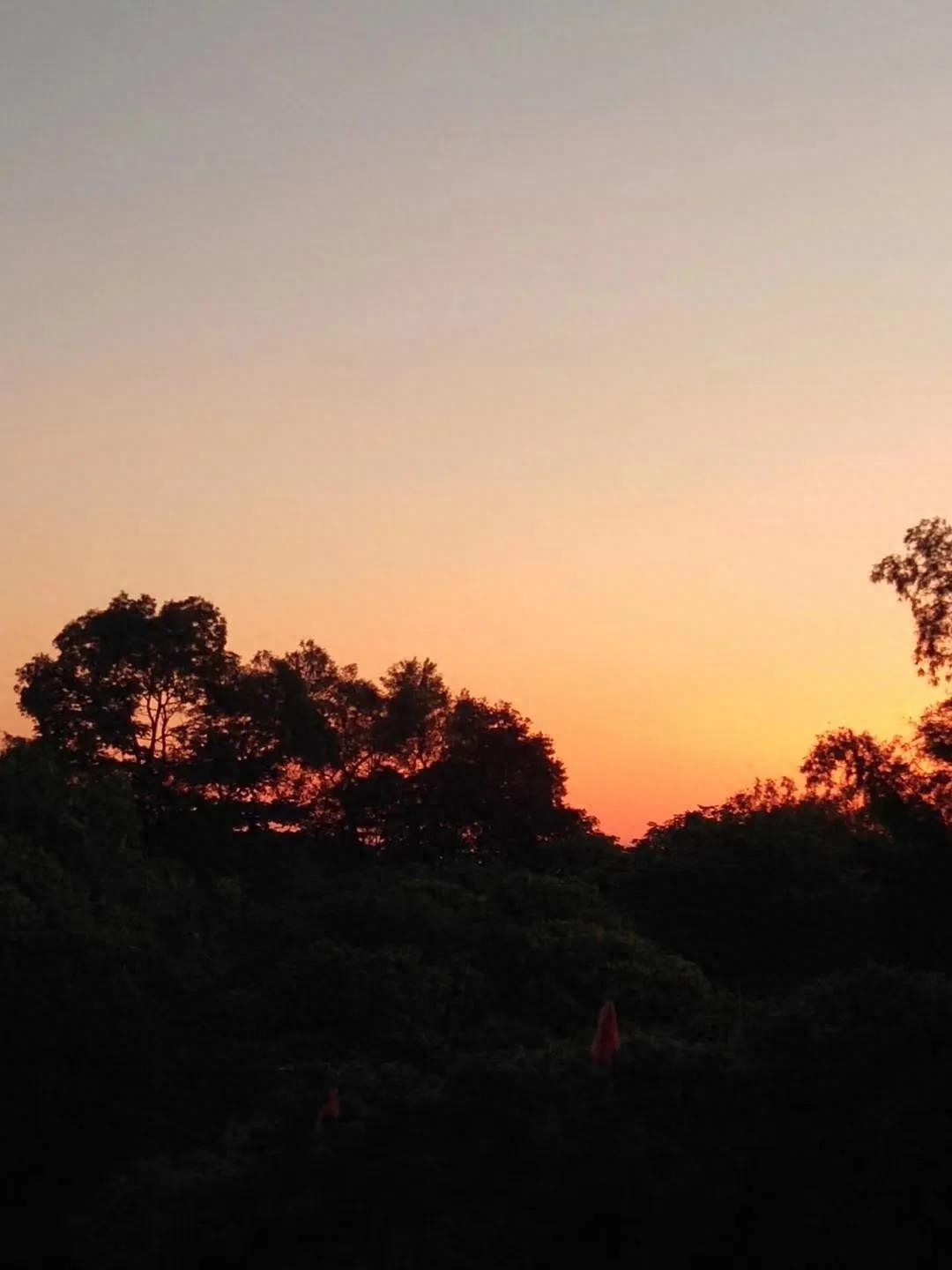 日落文案｜日落黄昏的浪漫温柔句子(图2)