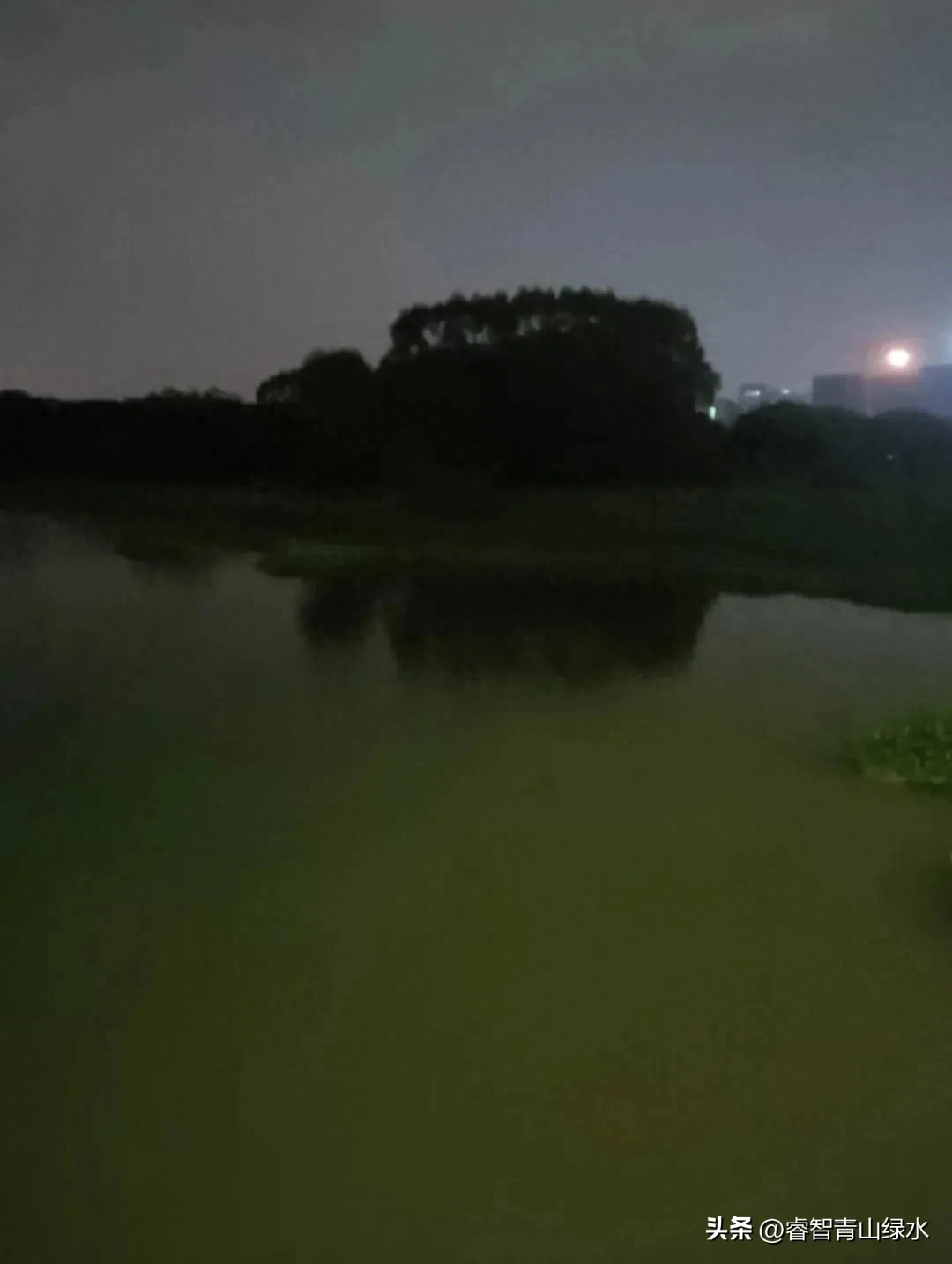 秋日踏秋，眼中有景，心中有爱，岁月静好，珍惜当下。(图2)