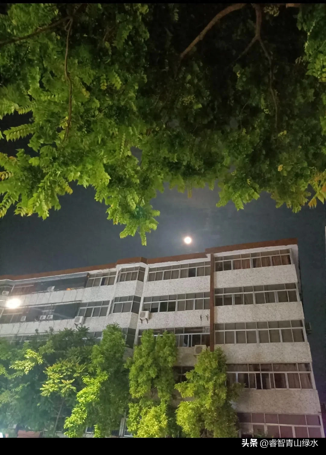 秋日踏秋，眼中有景，心中有爱，岁月静好，珍惜当下。(图6)