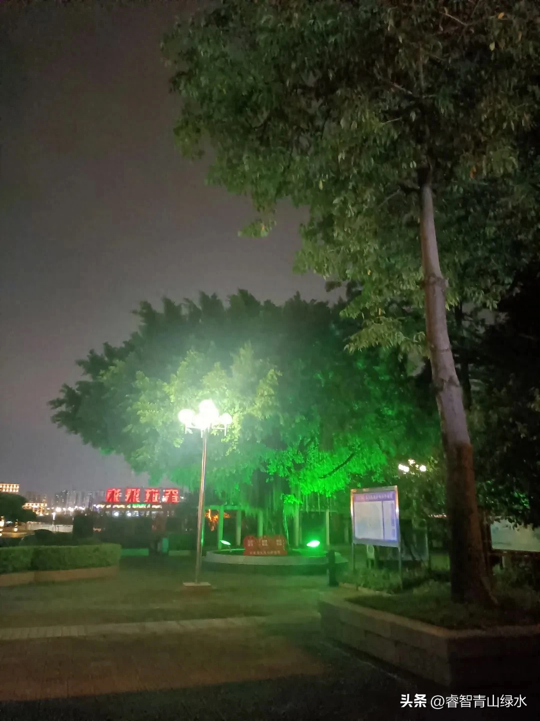 秋日踏秋，眼中有景，心中有爱，岁月静好，珍惜当下。(图9)