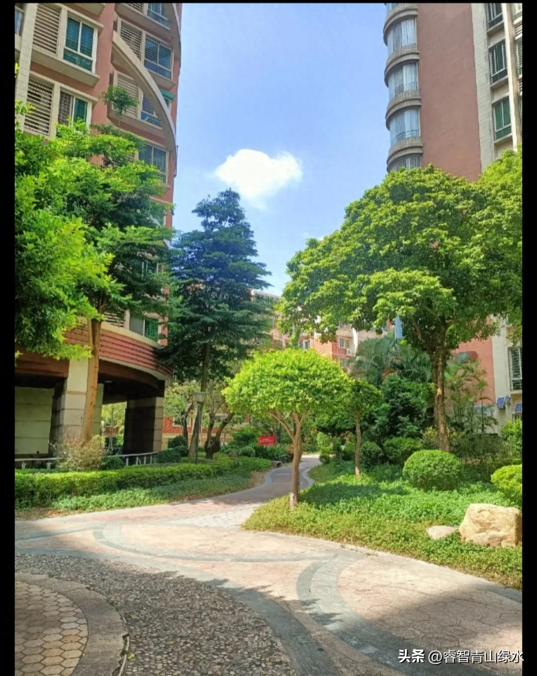 秋日踏秋，眼中有景，心中有爱，岁月静好，珍惜当下。(图11)