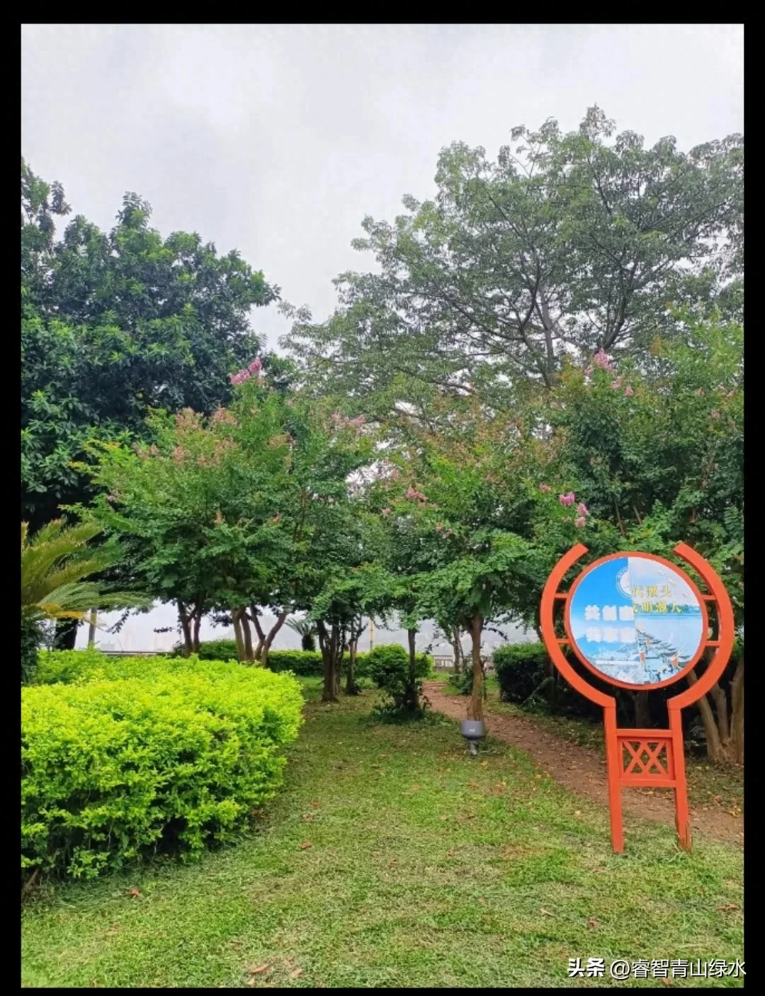 秋日踏秋，眼中有景，心中有爱，岁月静好，珍惜当下。(图18)