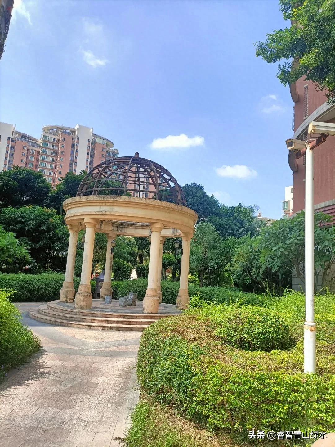 秋日踏秋，眼中有景，心中有爱，岁月静好，珍惜当下。(图19)