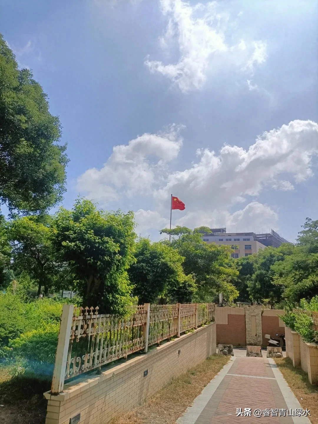 秋日踏秋，眼中有景，心中有爱，岁月静好，珍惜当下。(图20)