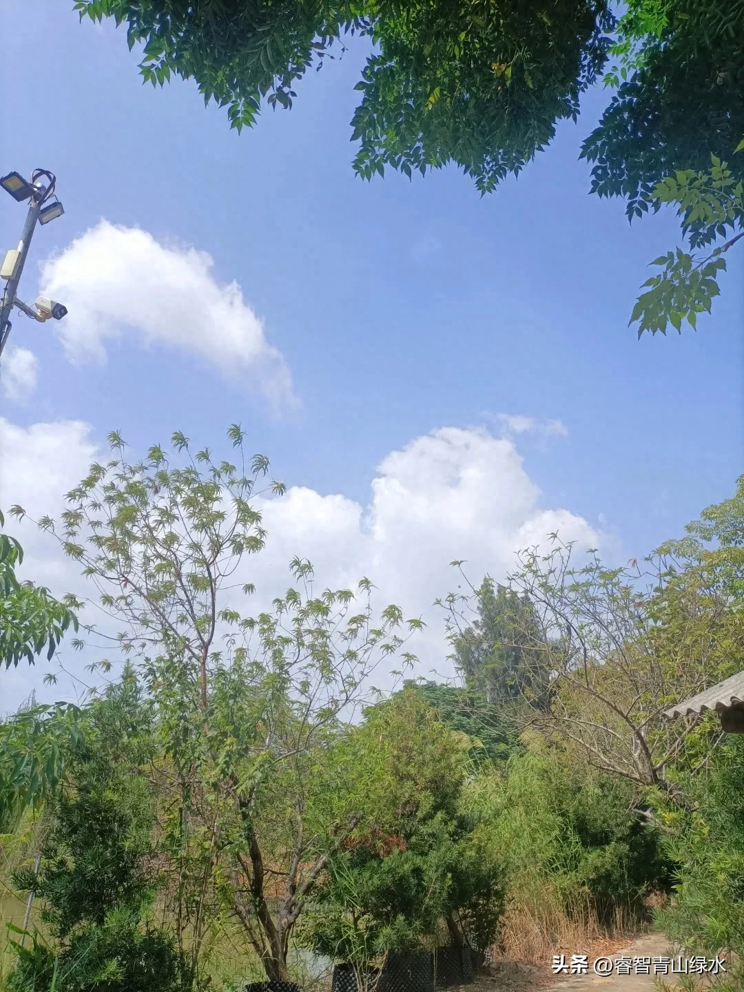 秋日踏秋，眼中有景，心中有爱，岁月静好，珍惜当下。(图22)