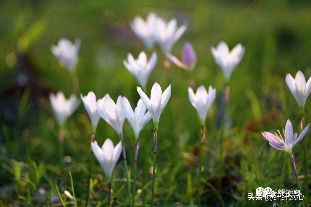 读书不怕忘(图1)