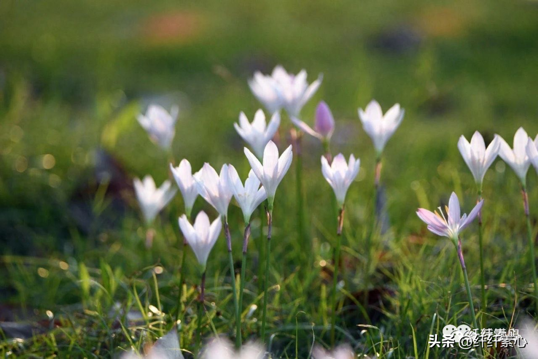 读书不怕忘(图2)