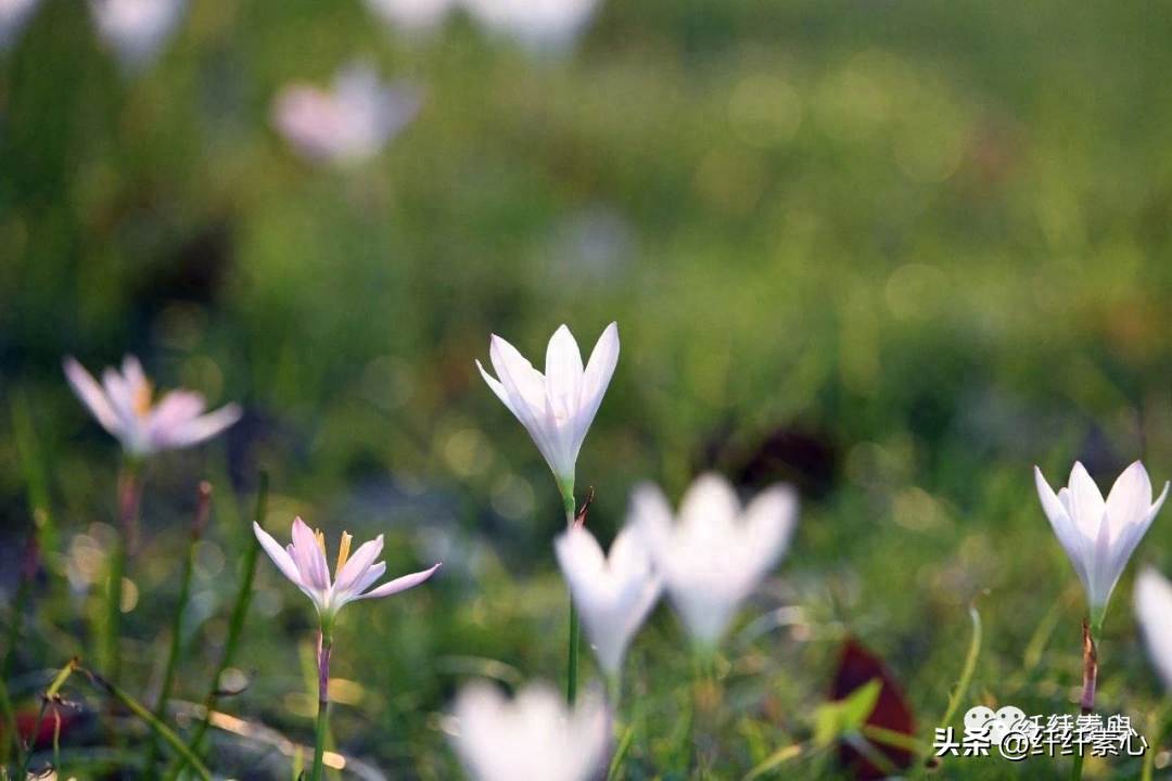 读书不怕忘(图3)