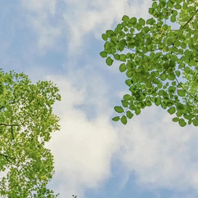 13句人间清醒的高级句子，治愈系文案，第9句发朋友圈特别美(图1)