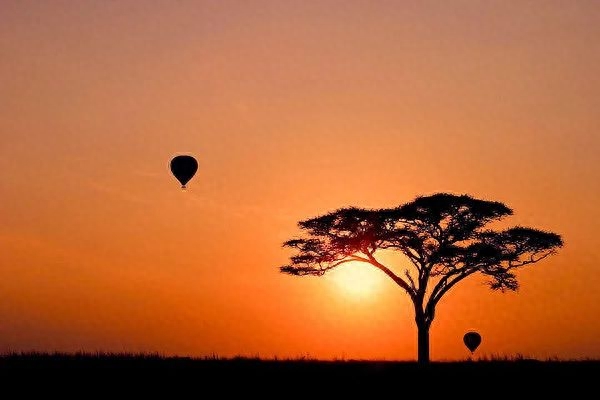 13句人间清醒的高级句子，治愈系文案，第9句发朋友圈特别美(图2)