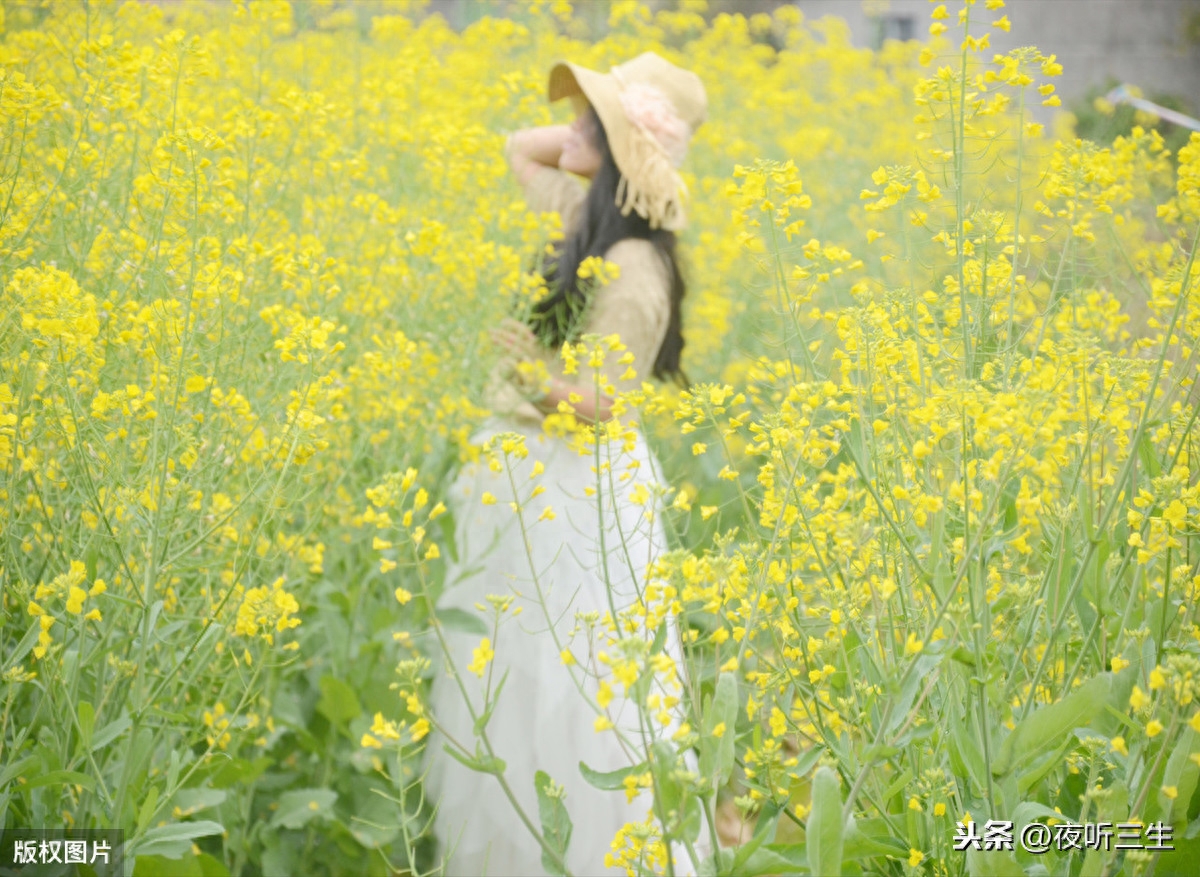 「夜听美文」人生，一路行走，一路懂得(图4)