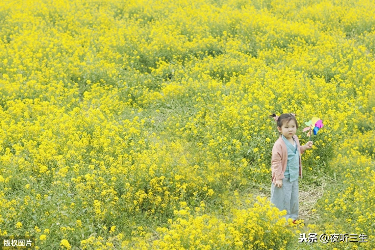 「夜听美文」人生，一路行走，一路懂得(图5)