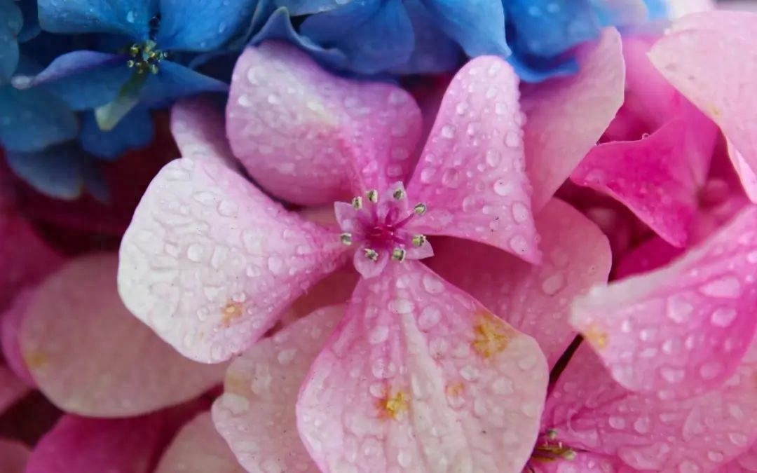 20句祝愿孩子健康快乐成长的句子(图2)