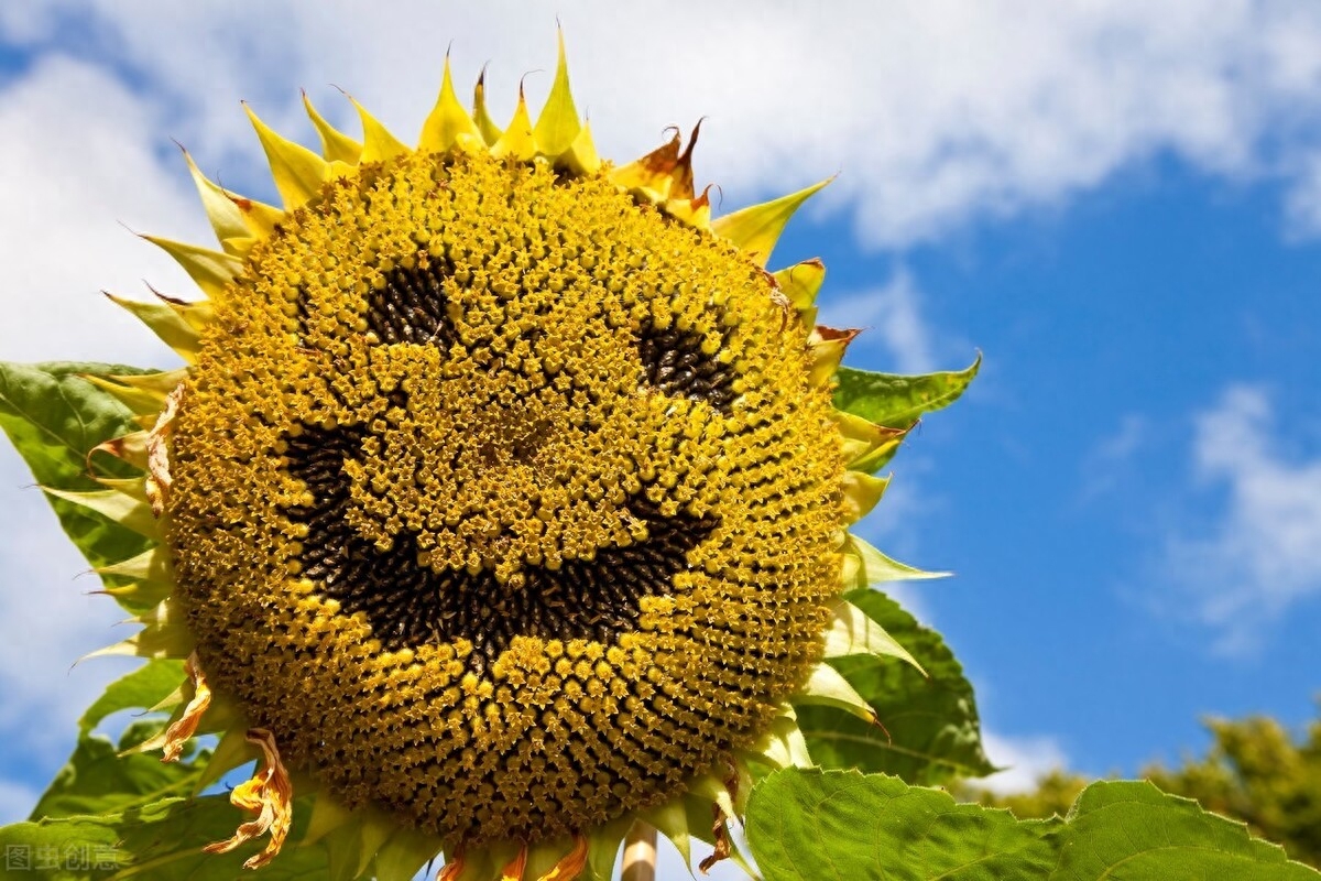 古代神话金句，总有一句是在说你(图3)