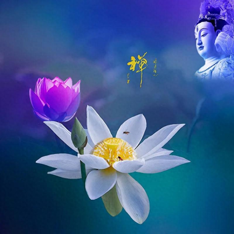 一念一清净，心如莲花开(图2)