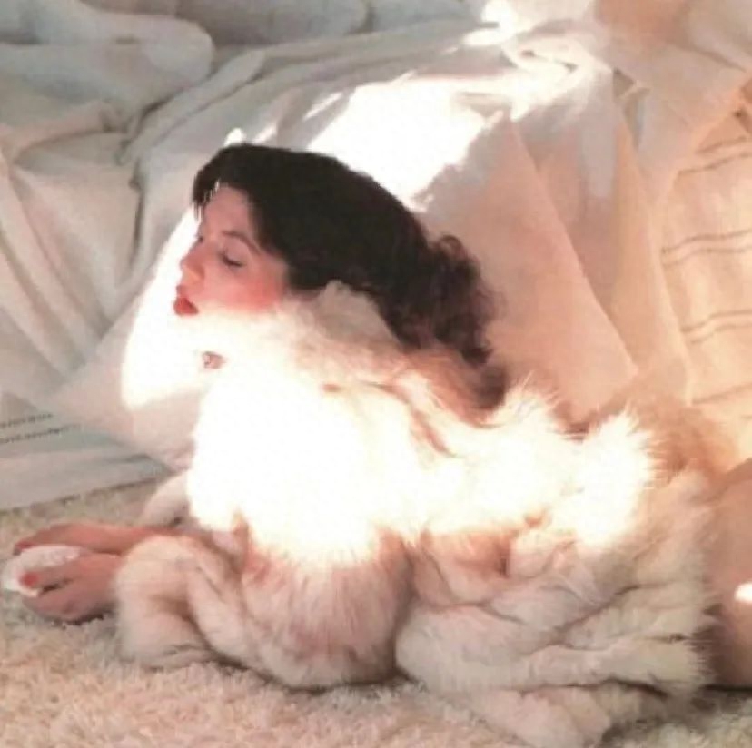 关于陪伴的绝美小情话(图1)