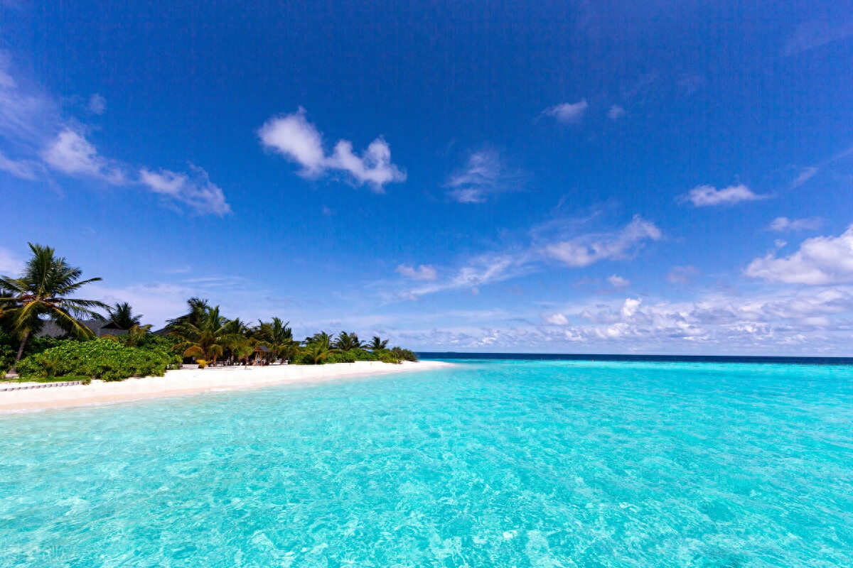 文案｜去海边看海的温柔文案(图1)