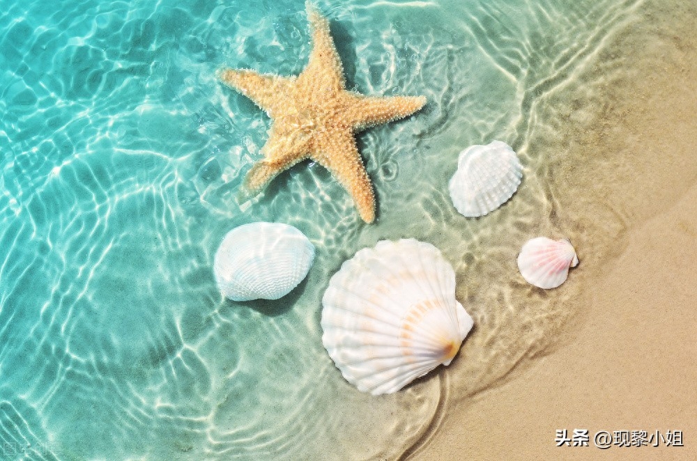 文案｜去海边看海的温柔文案(图2)