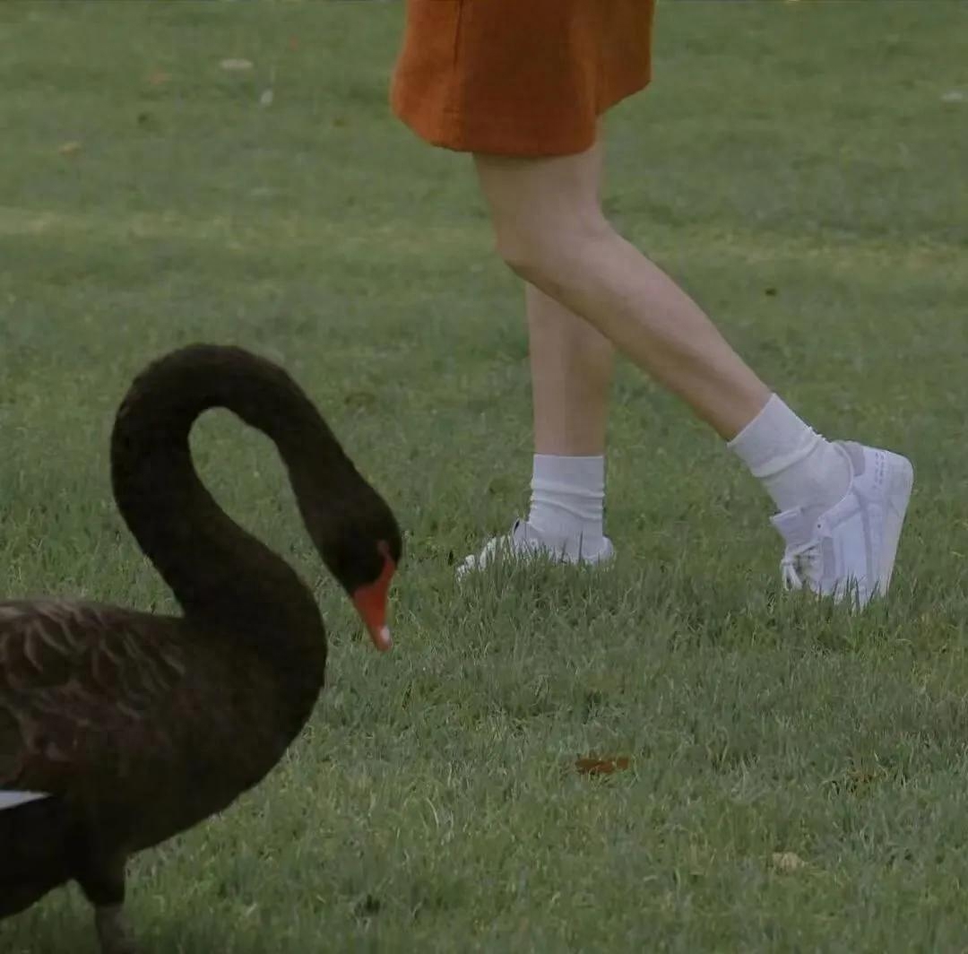 “新冠疫情适合的高分作文开头结尾”稳稳干货(图1)