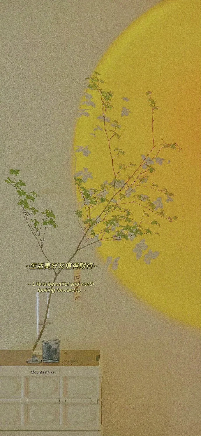 16句抖音很火的句子｜但凡你狠心一点，生活也不会反复折磨你。(图2)