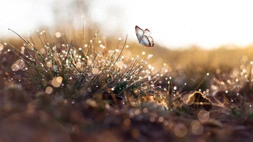 时光倒流的唯美句子：时光倒流，寻觅唯美的回忆(图3)