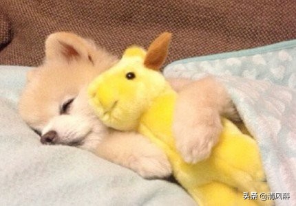 疫情后终于开学的心情句子(图2)