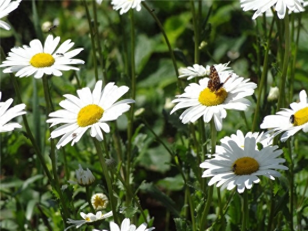 早上好！很个性的签名句子，句句伤感落寞，哪句最符合你的心情(图2)