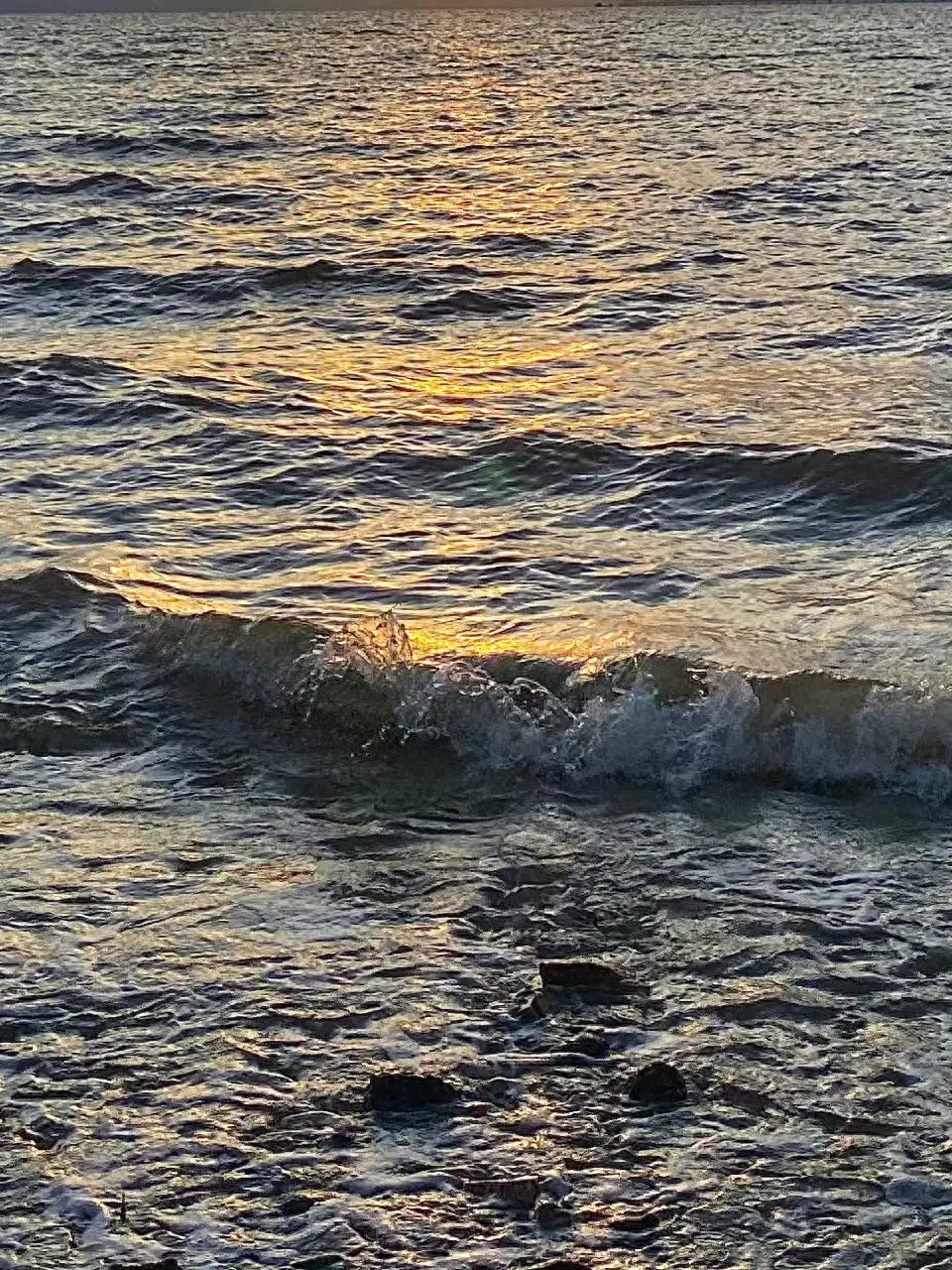 撞进夏日的海风里，自由自在，无忧无虑(图8)